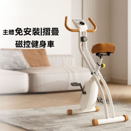 休閒健身 重訓有氧健身健身車