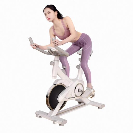 休閒健身 重訓有氧健身健身車