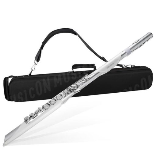 Roland 樂蘭AE-Brisa 數位長笛 Aerophone 電子吹管