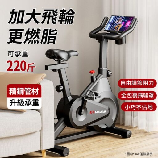 休閒健身 重訓有氧健身飛輪
