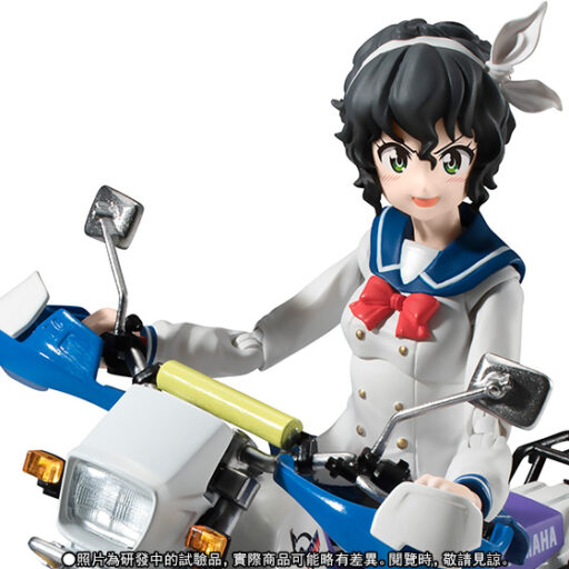 S.H.Figuarts Onsa Amano(school uniform) ＆SEROW225W