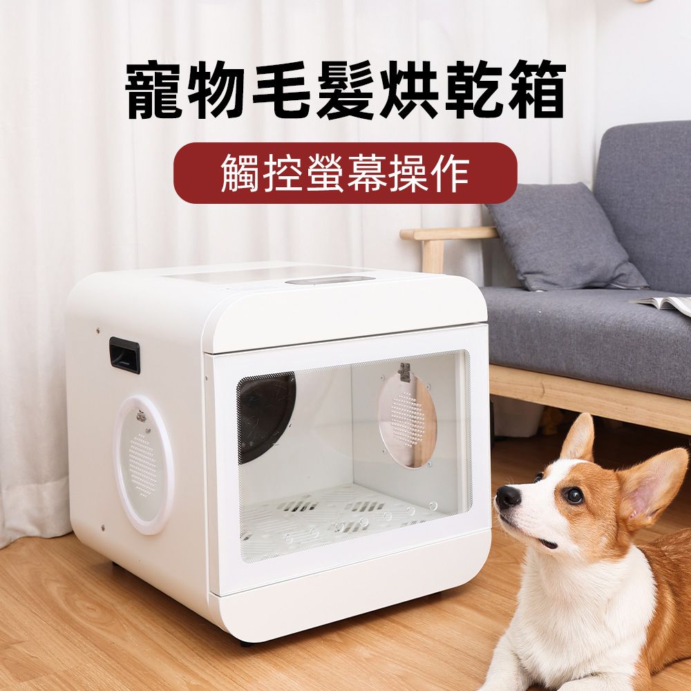 周周寵物毛髮烘乾箱 寵物烘毛機 烘乾箱 烘毛機 烘毛機 小型犬烘毛機 貓咪烘乾箱 貓咪烘毛機